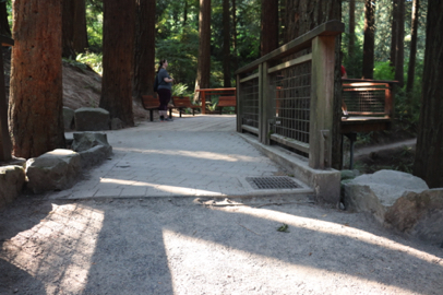 Entrance onto the Redwood Platform - surface changes from gravel to slate